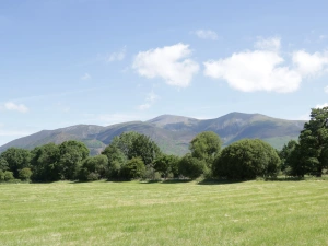 Property image 9 for SC1199161
