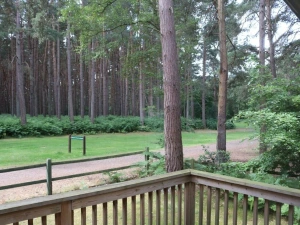 Property image 4 for SC1199173