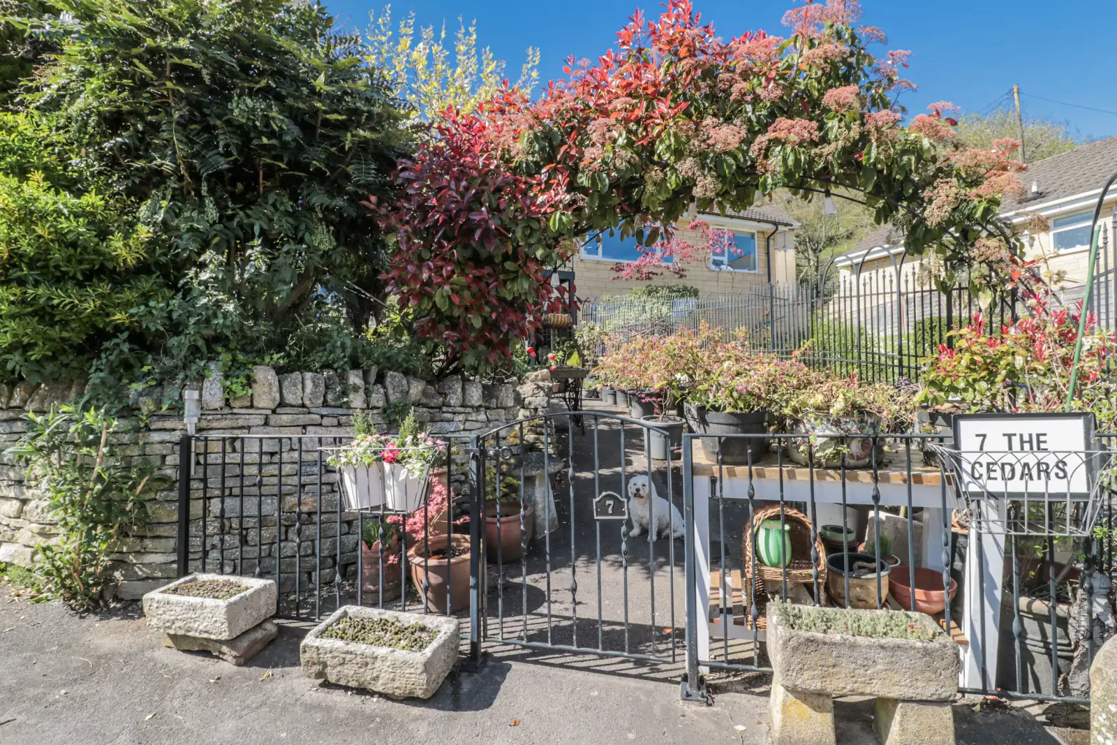 Property image 3 for SC1201410