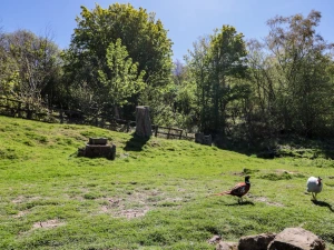 Property image 3 for SC1203171