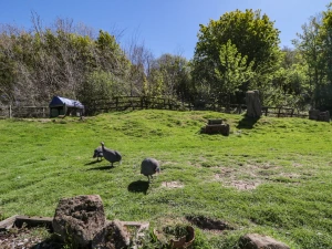 Property image 4 for SC1203171