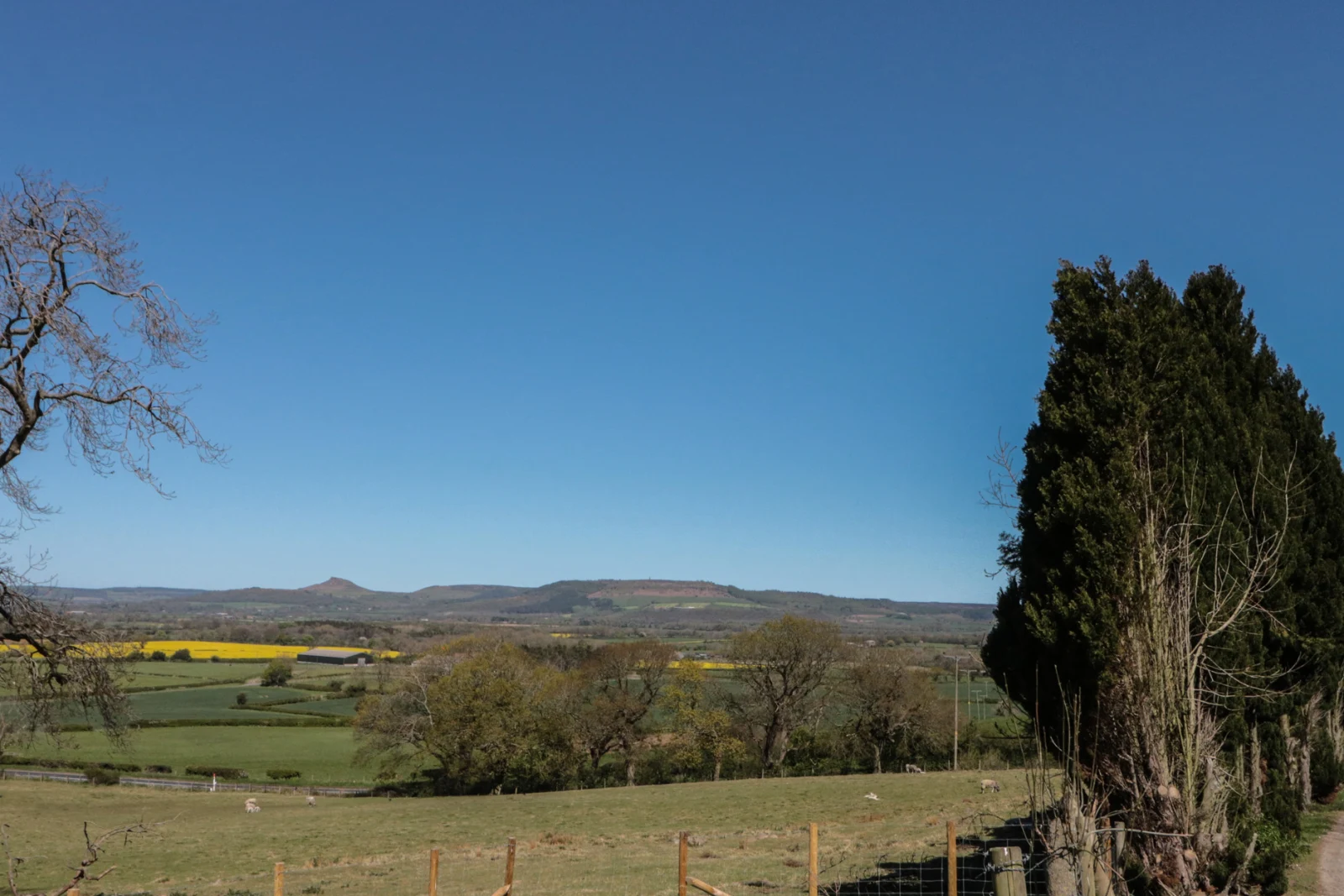 Property image 6 for SC1203171