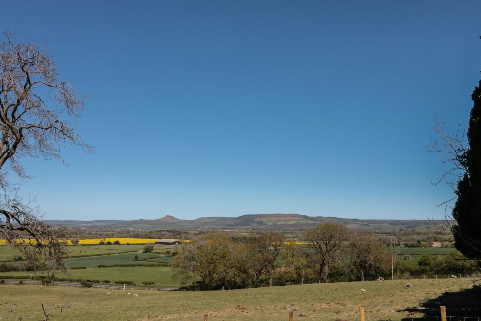 Property image 7 for SC1203171