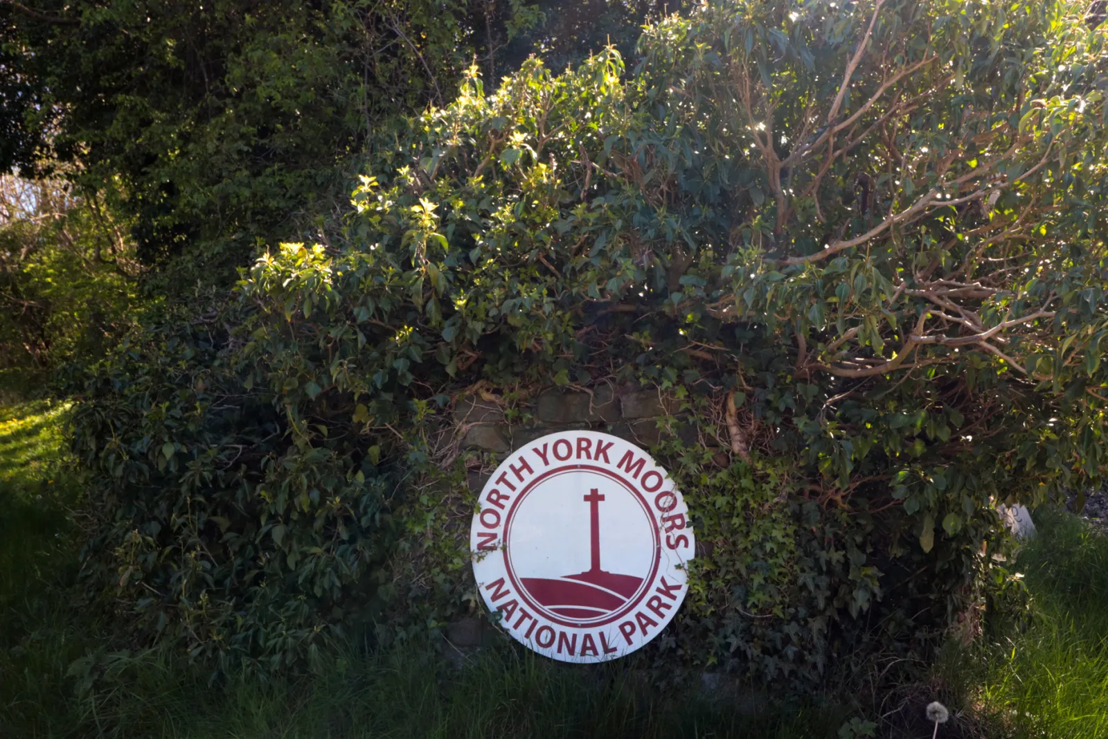 Property image 8 for SC1203171
