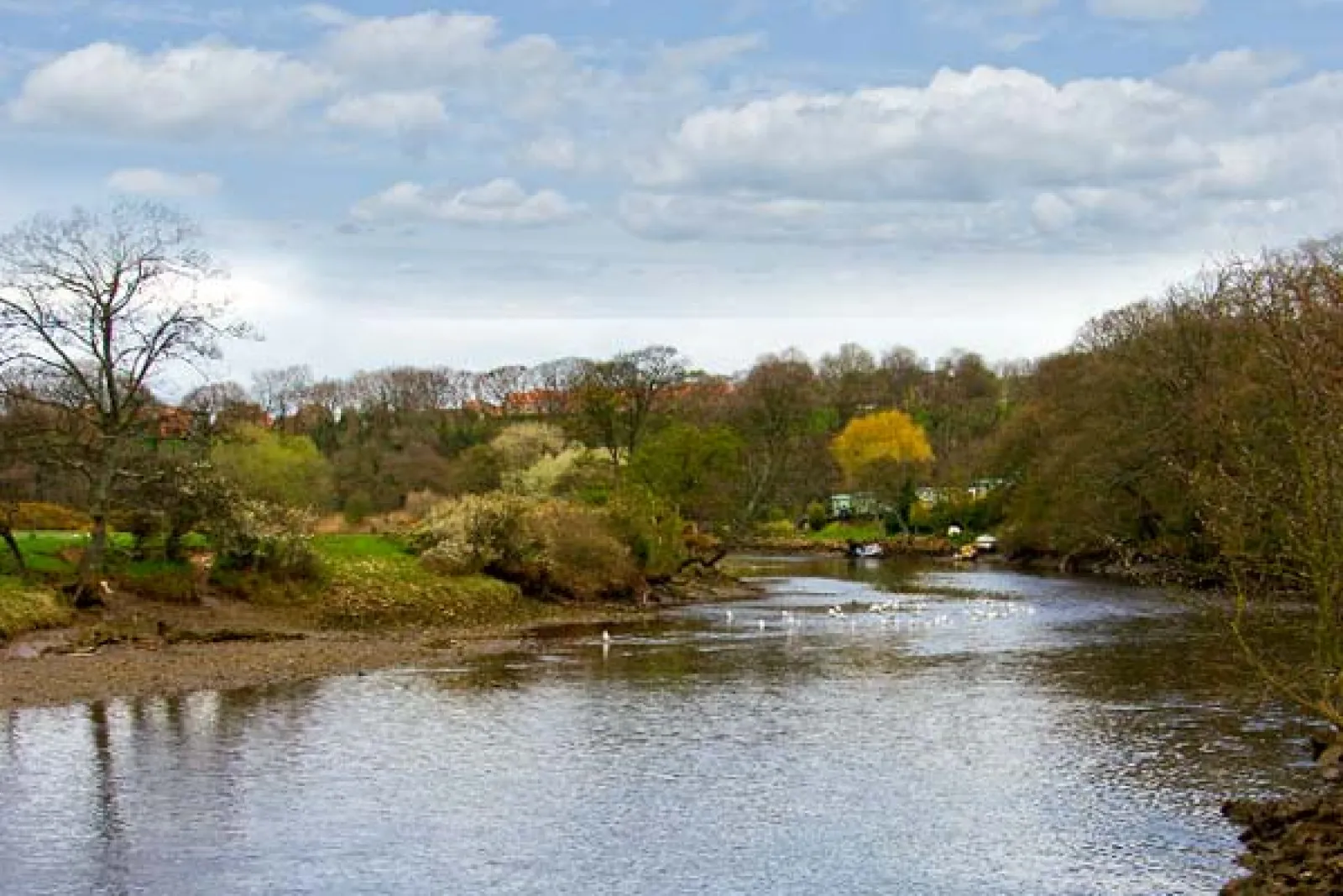 Property image 7 for SC12240