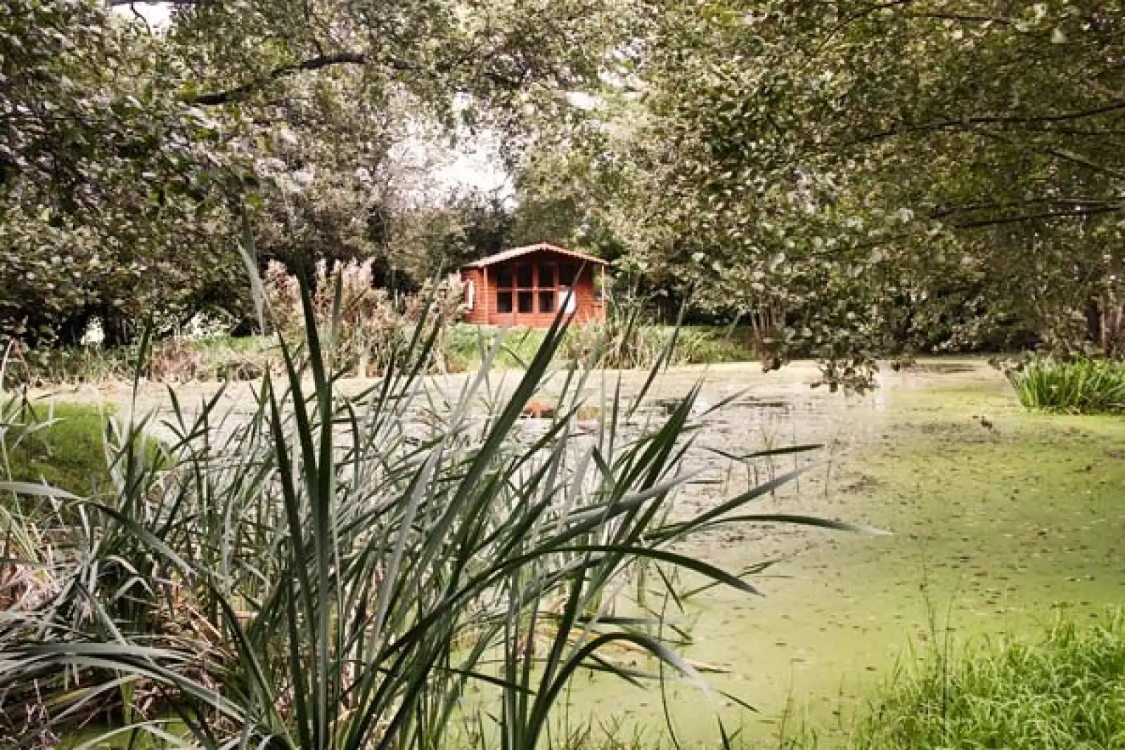 Property image 2 for SC14205