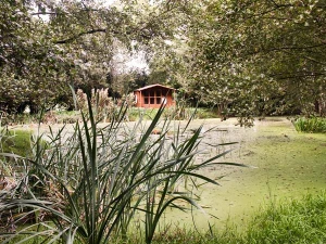 Property image 2 for SC14205