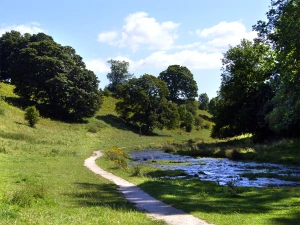 Property image 8 for SC2239