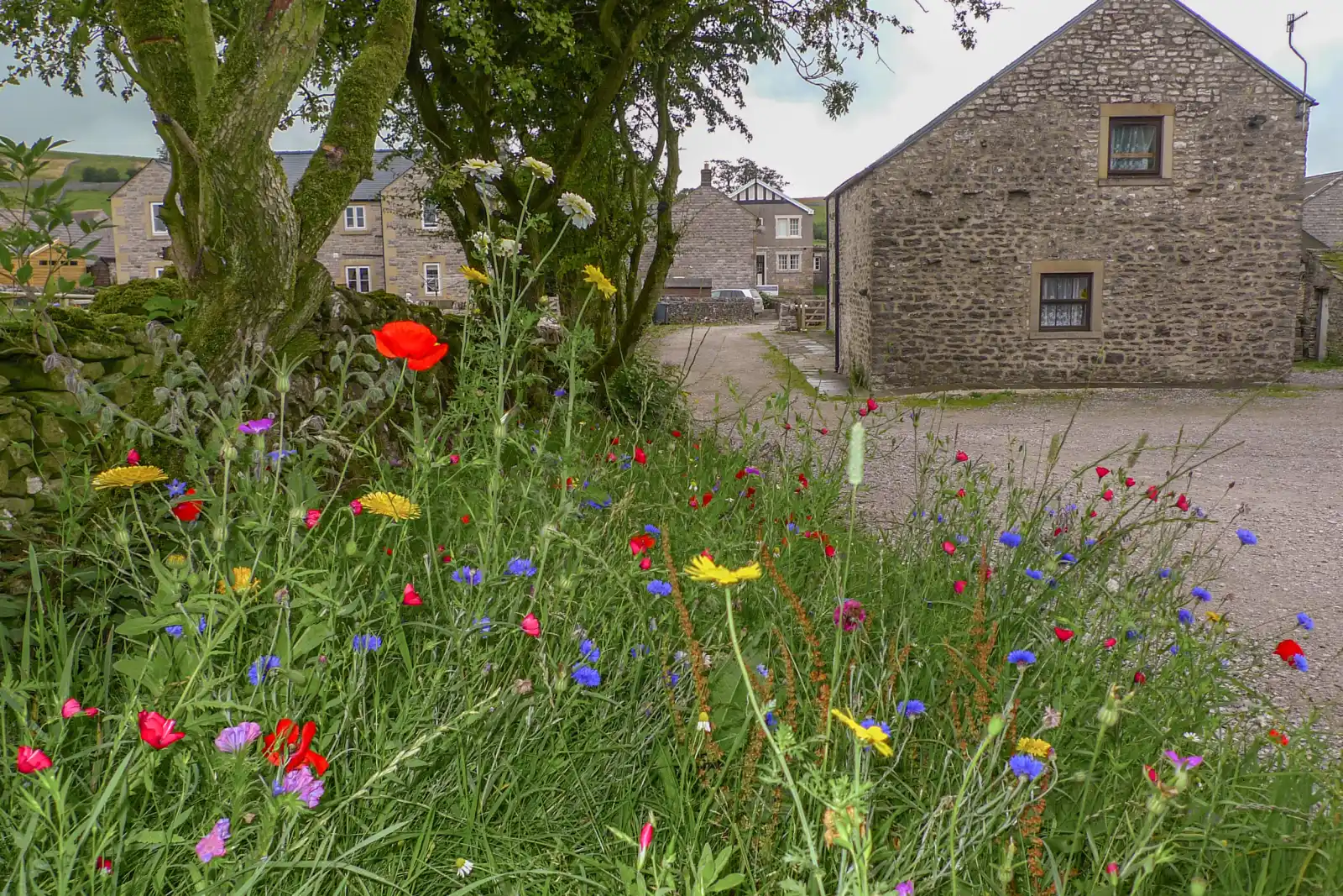 Property image 9 for SC23919