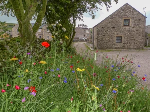 Property image 9 for SC23919