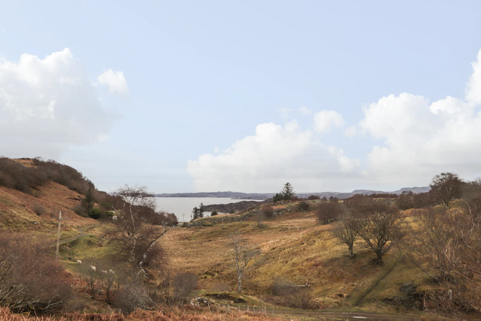 Property image 3 for SC2589