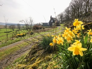 Property image 3 for SC281
