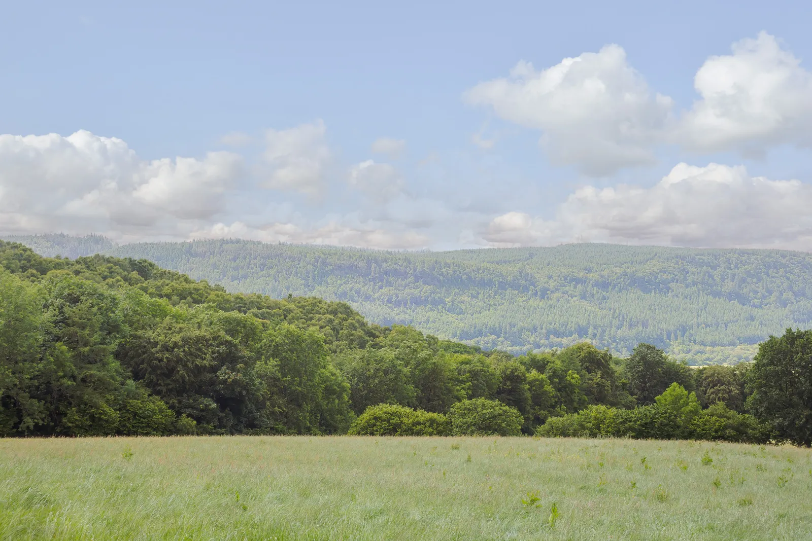 Property image 2 for SC2987