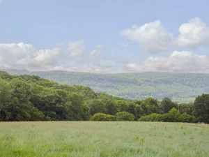 Property image 2 for SC2987