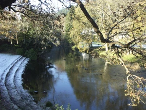 Property image 9 for SC4481