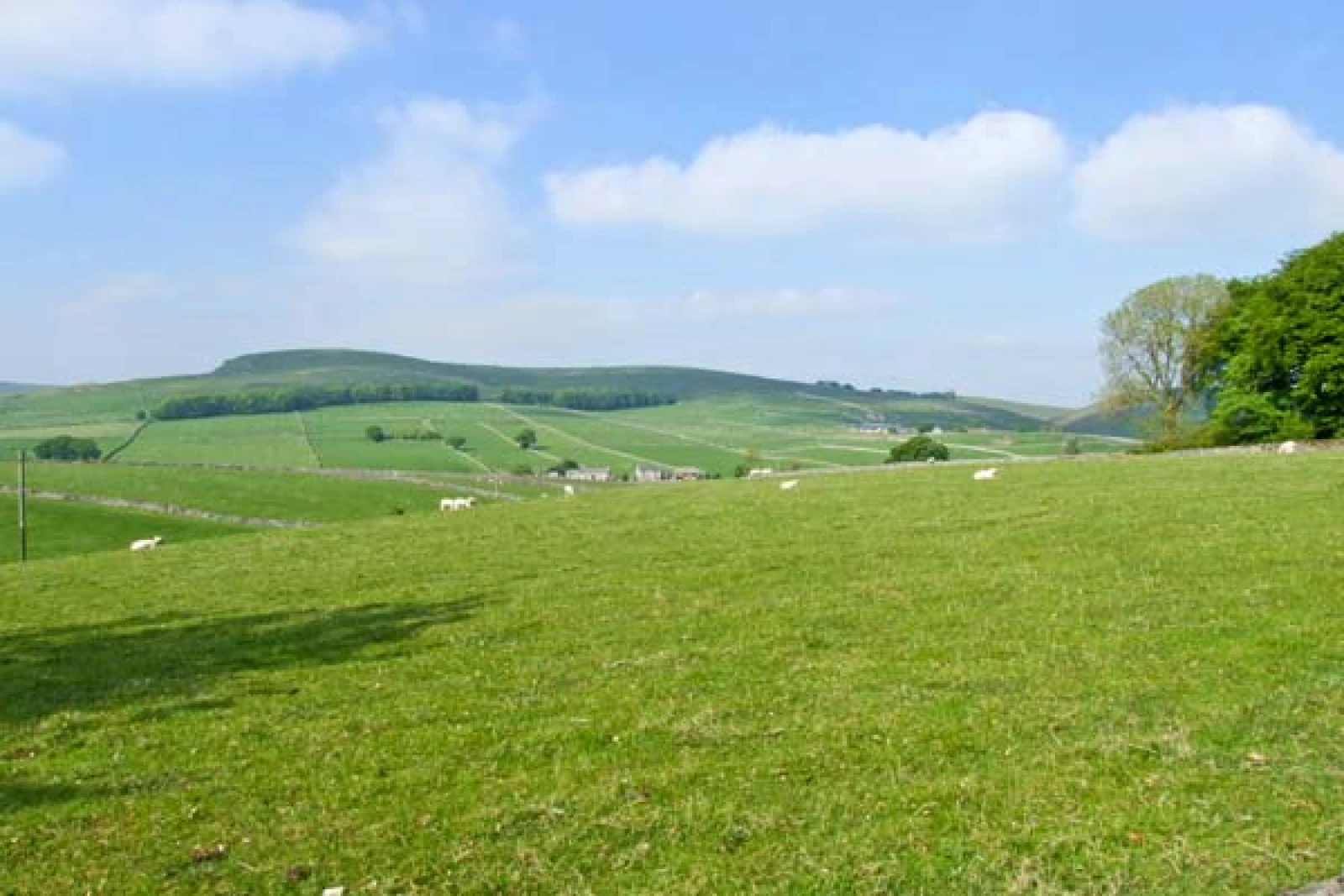 Property image 9 for SC5630