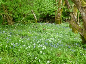 Property image 8 for SC6481