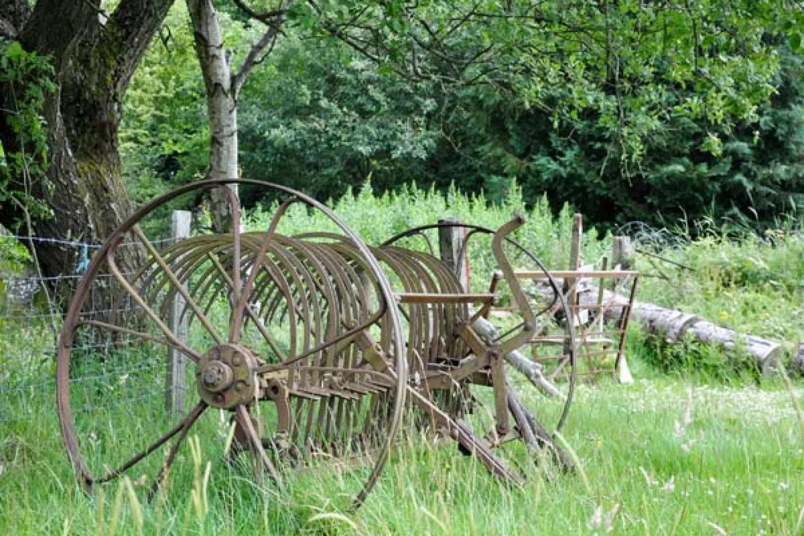 Property image 9 for SC6481
