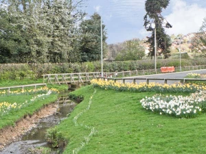 Property image 9 for SC6959