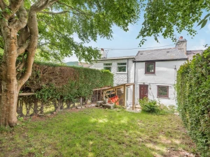 3 Tyn Y Mynydd