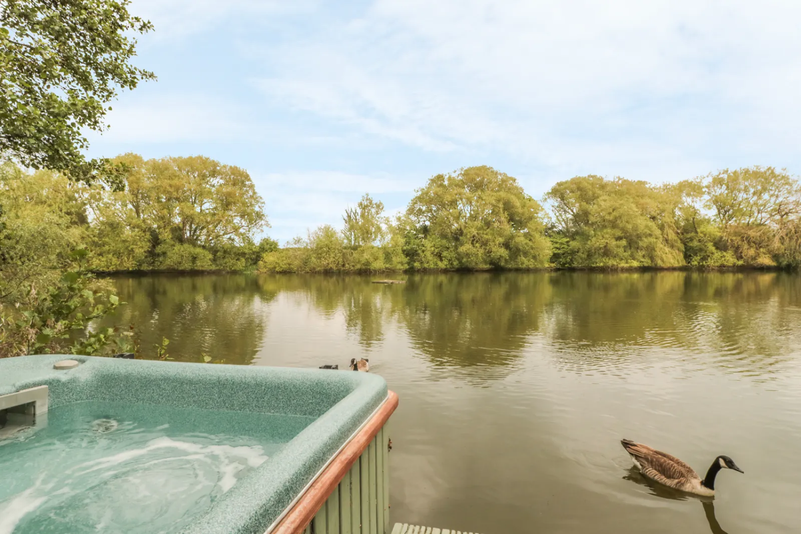 Property image 8 for SC903586