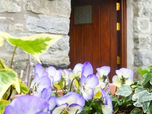 Property image 2 for SC905180