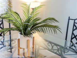 Property image 7 for SC906272