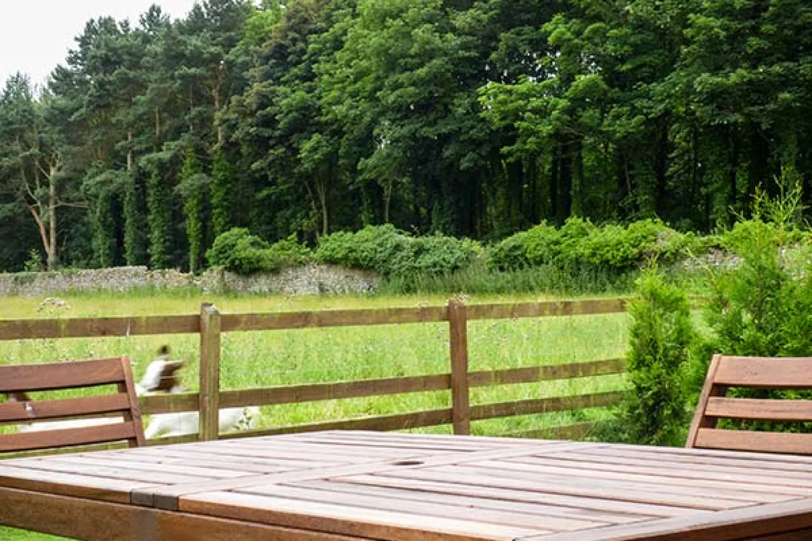 Property image 8 for SC913187