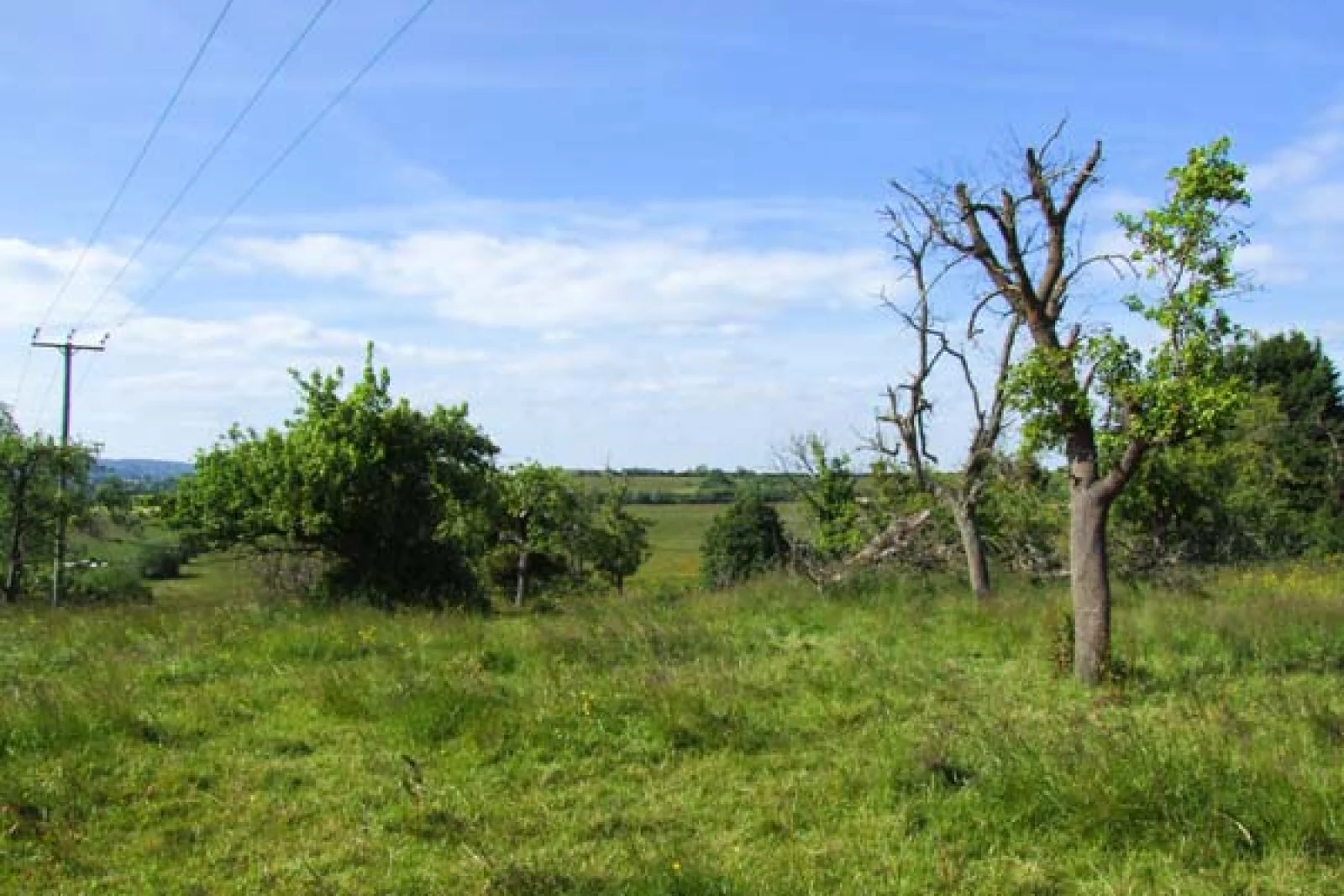 Property image 8 for SC913933
