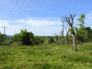 Property image 8 for SC913933