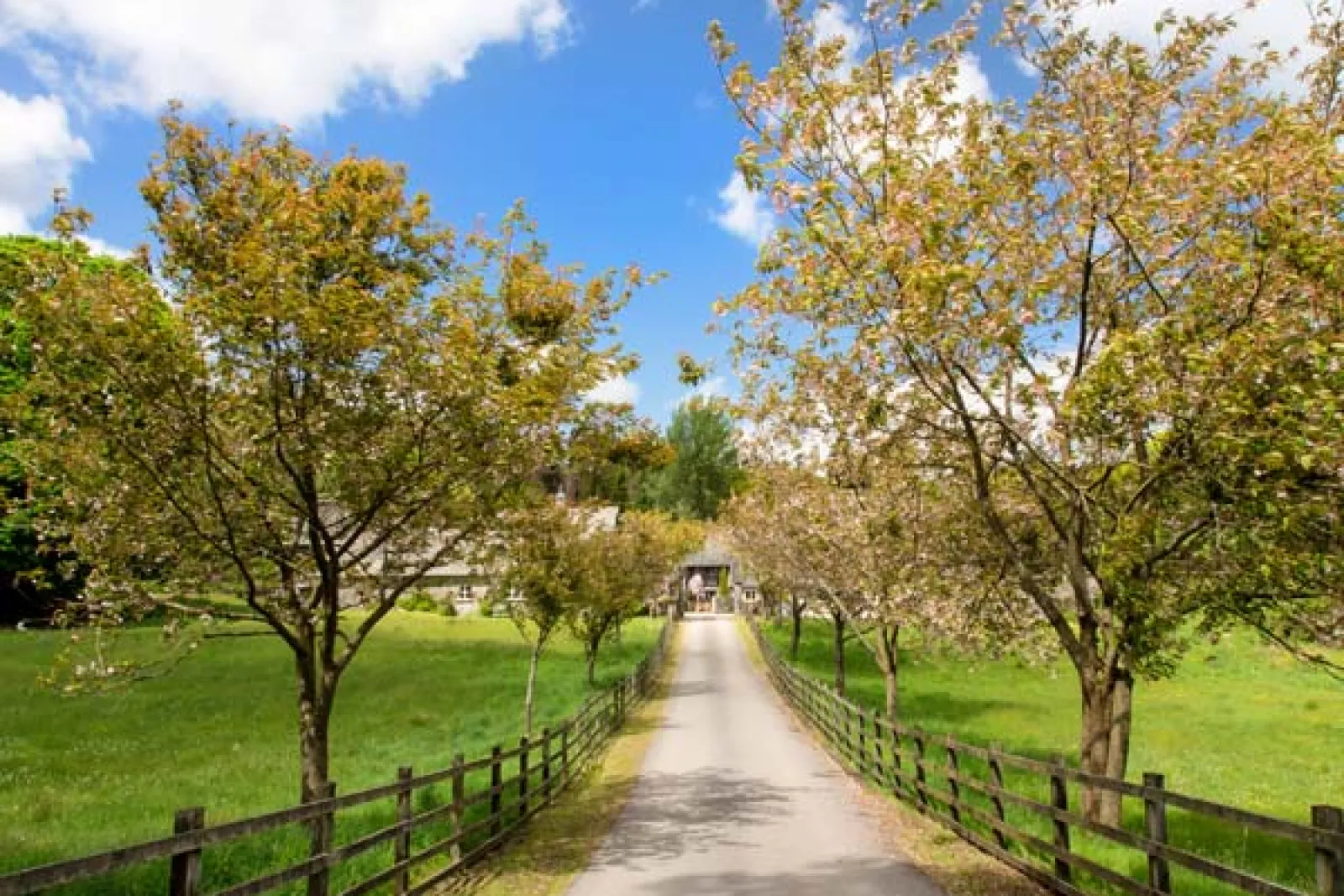 Property image 2 for SC914060