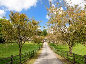 Property image 2 for SC914060