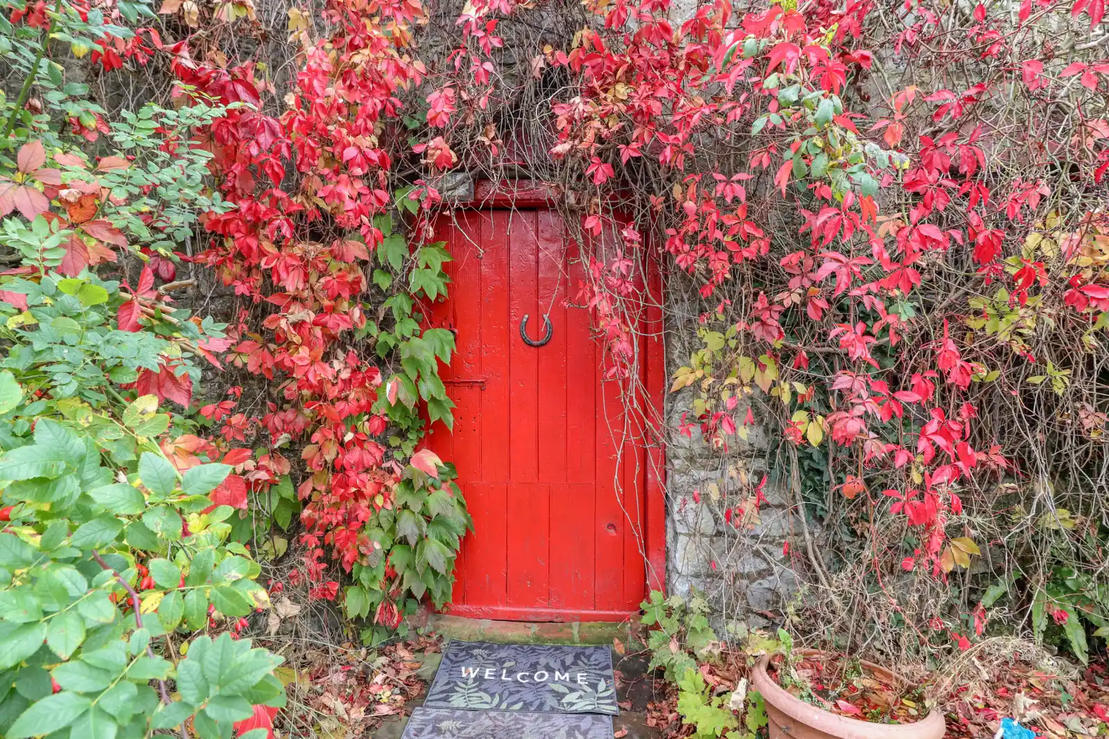 Property image 2 for SC914595