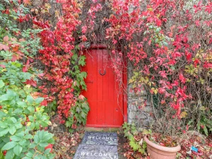 Property image 2 for SC914595
