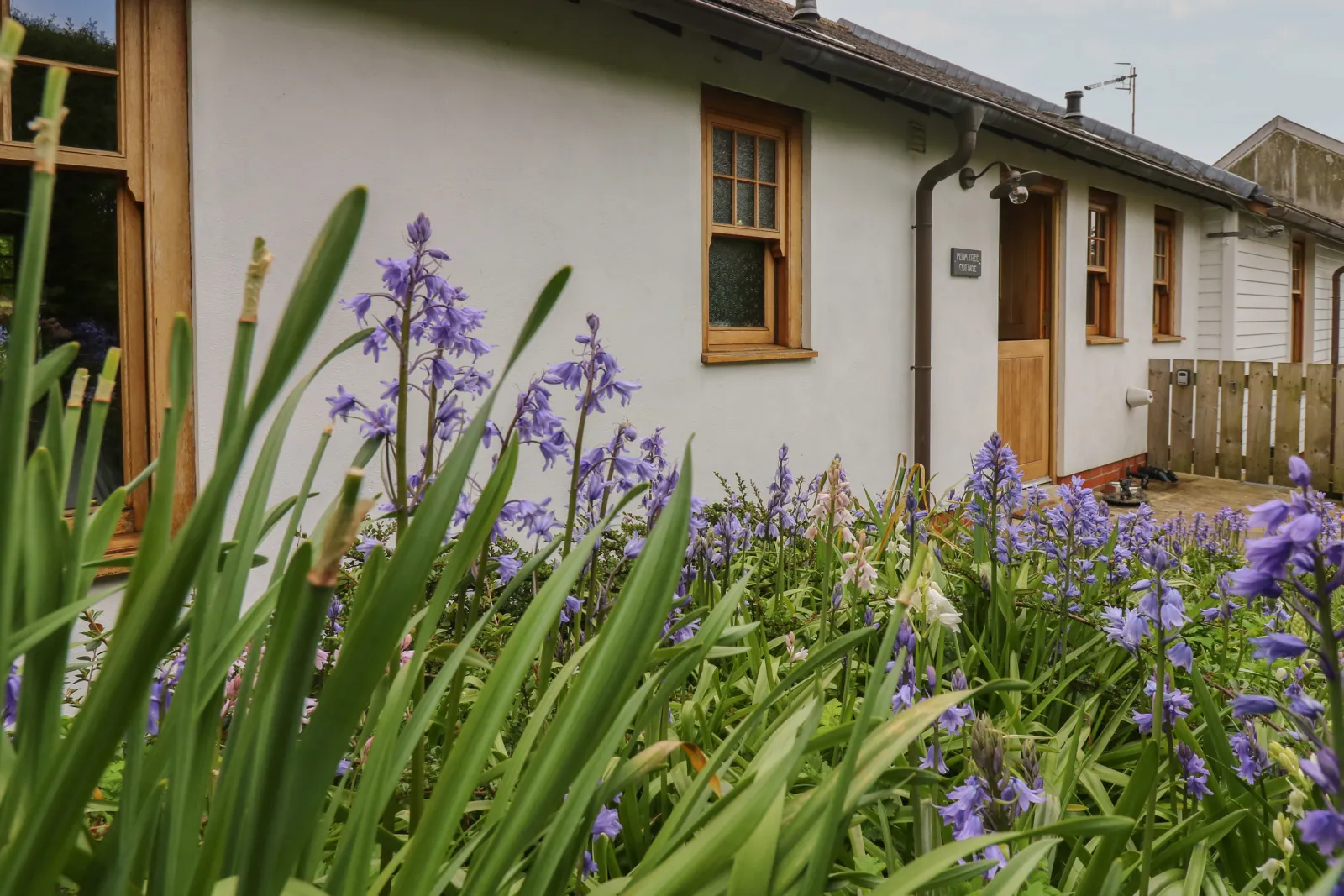 Property image 2 for SC914908