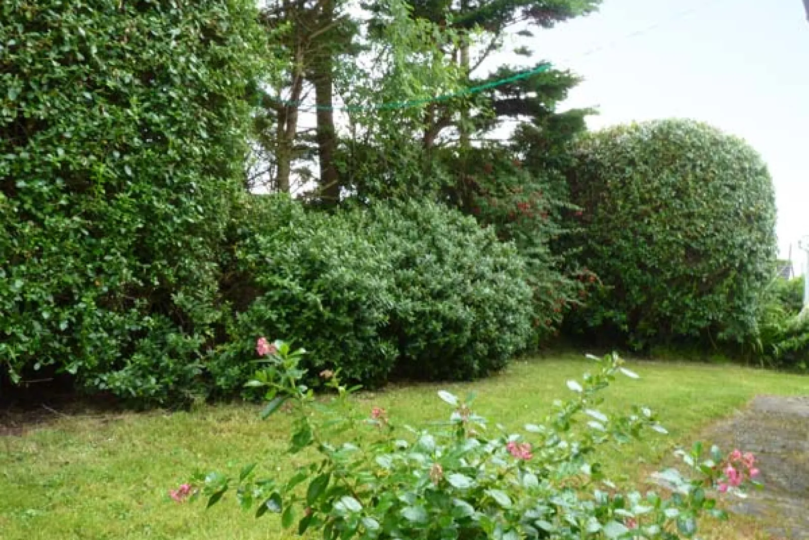 Property image 9 for SC915452