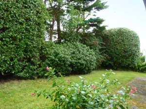 Property image 9 for SC915452