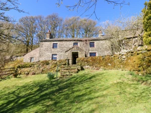 Sycamore Tree Farm
