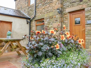 Property image 2 for SC916544