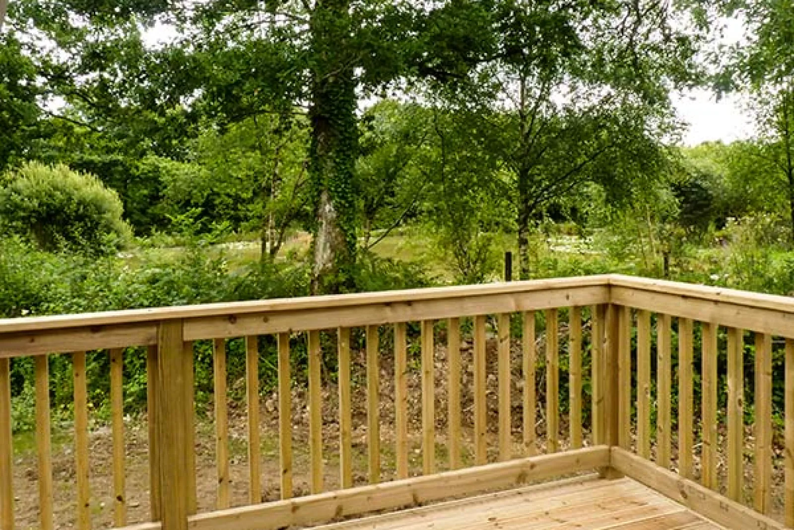 Property image 2 for SC918821