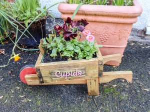 Property image 2 for SC922235