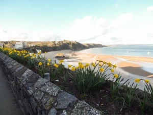 Property image 9 for SC922678