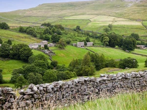 Property image 2 for SC923134