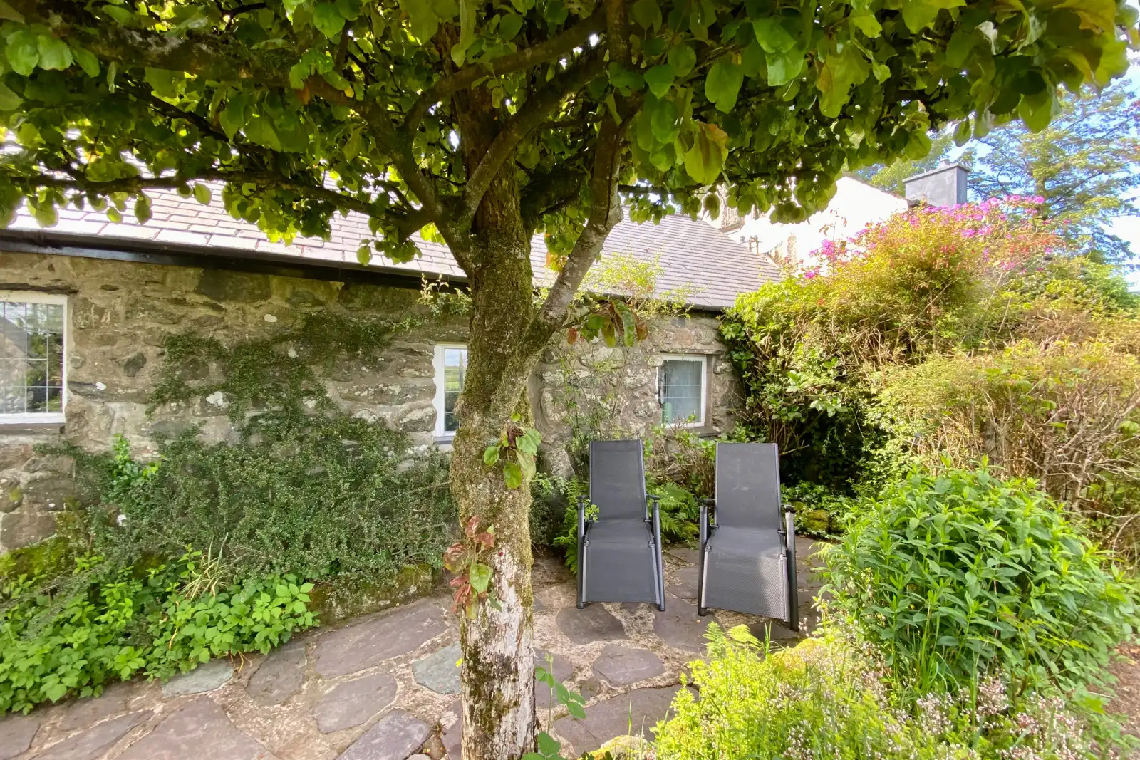 Property image 3 for SC923445