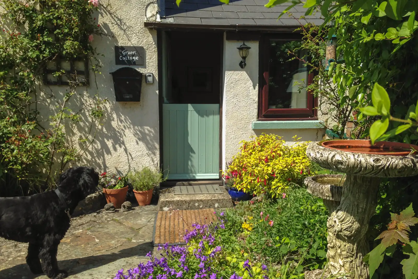 Property image 2 for SC923917