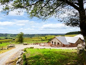 Property image 2 for SC924676