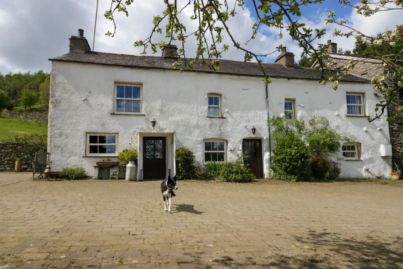 Property image 2 for SC926679