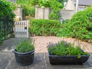 Property image 6 for SC929525