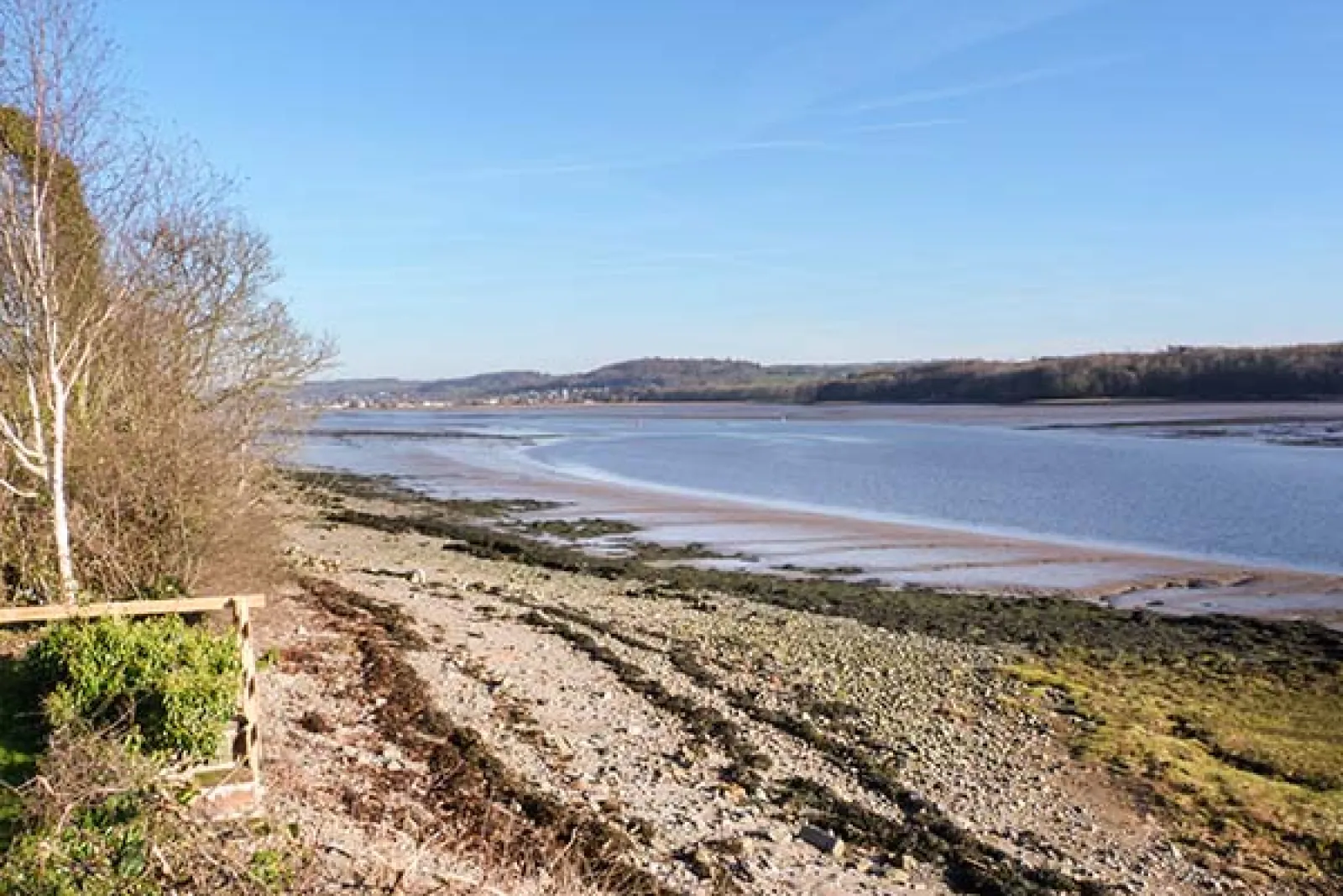 Property image 4 for SC931443