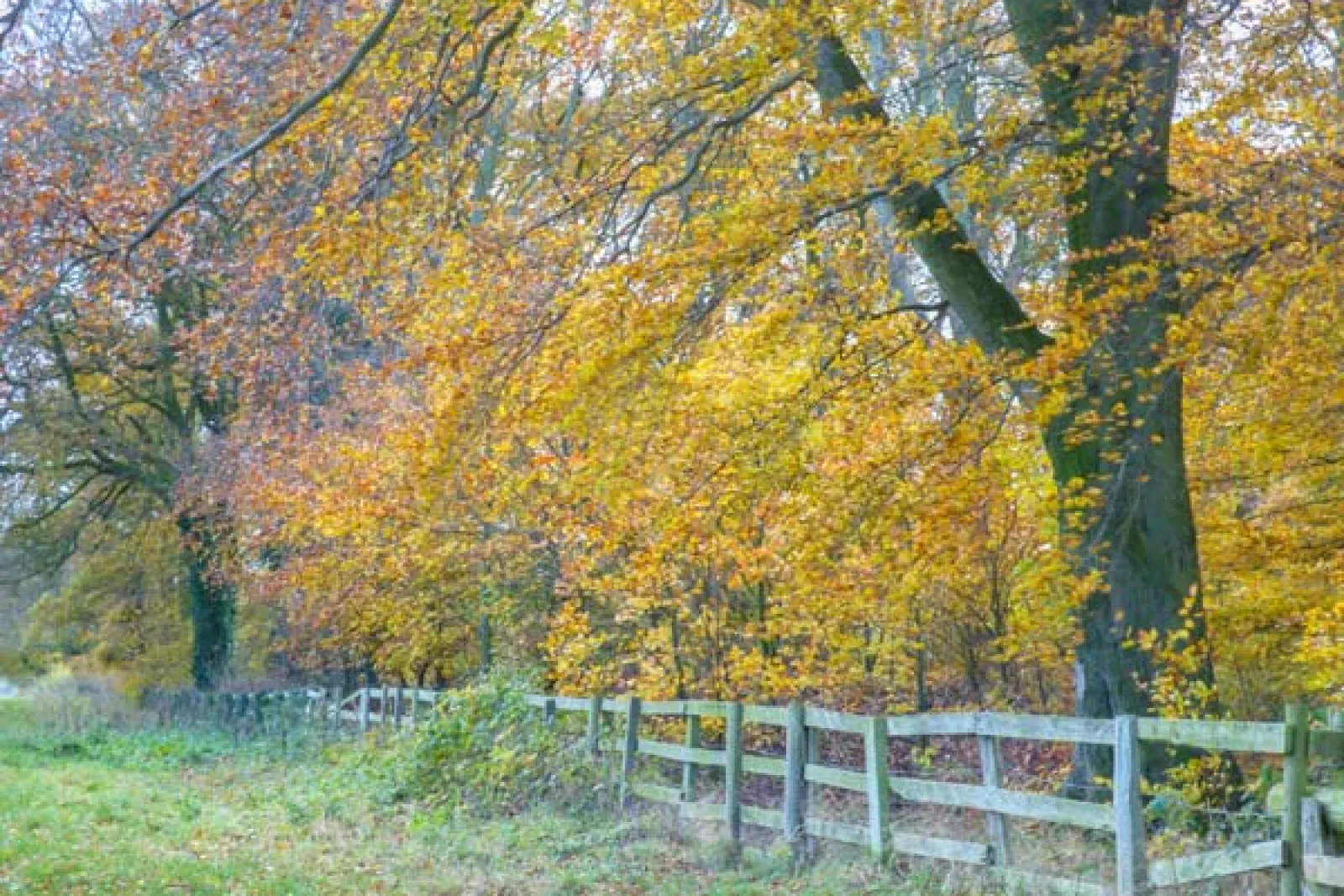 Property image 9 for SC933359